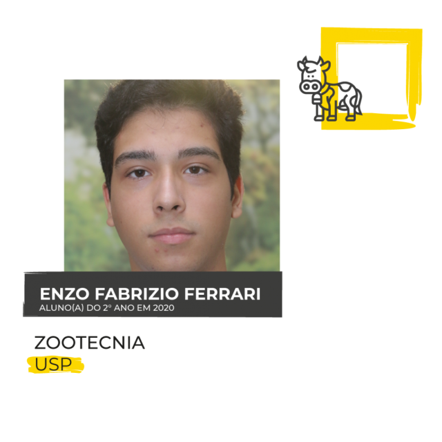 SITE-Enzo-Fabrizio-Ferrari-1030x1030